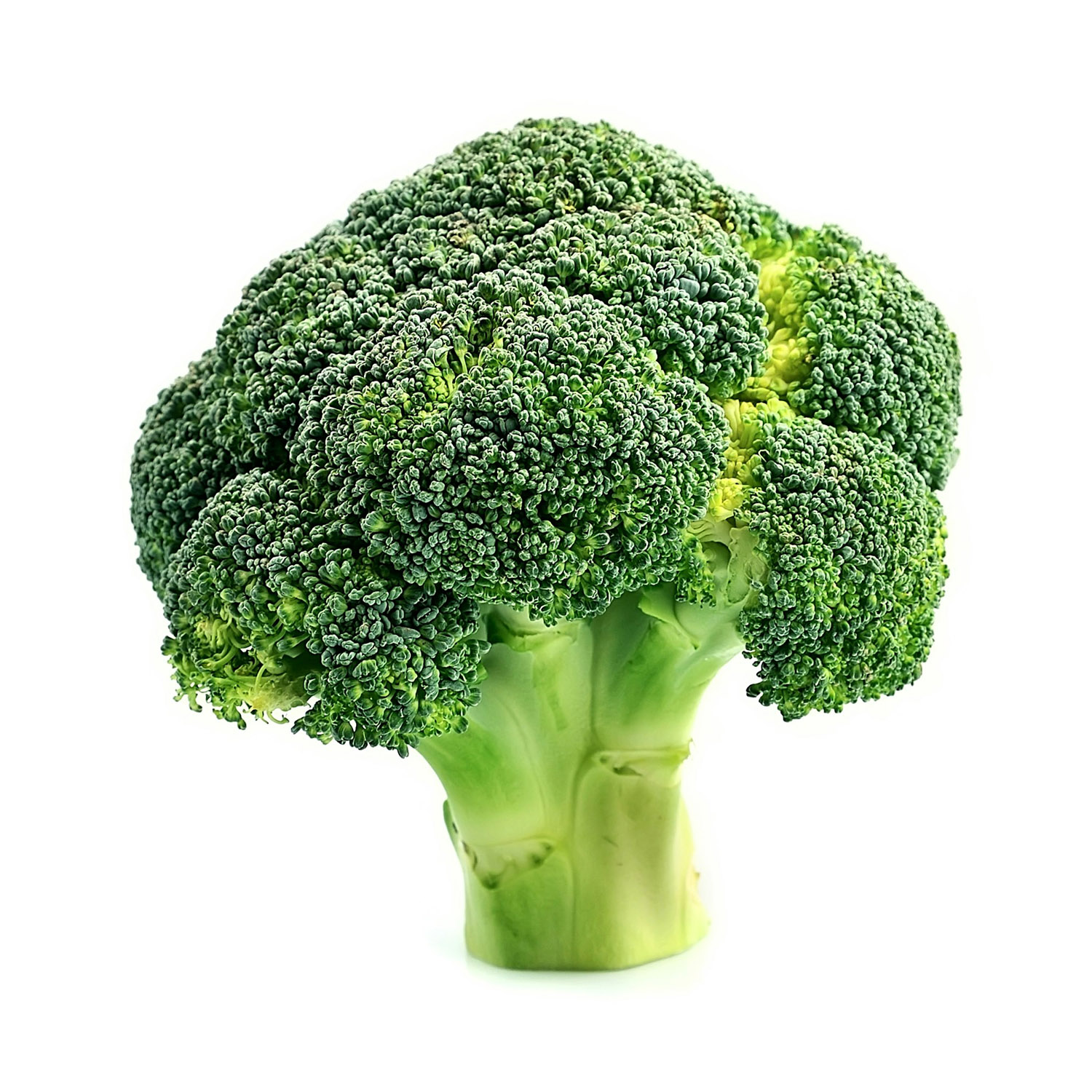 Brocoli 1