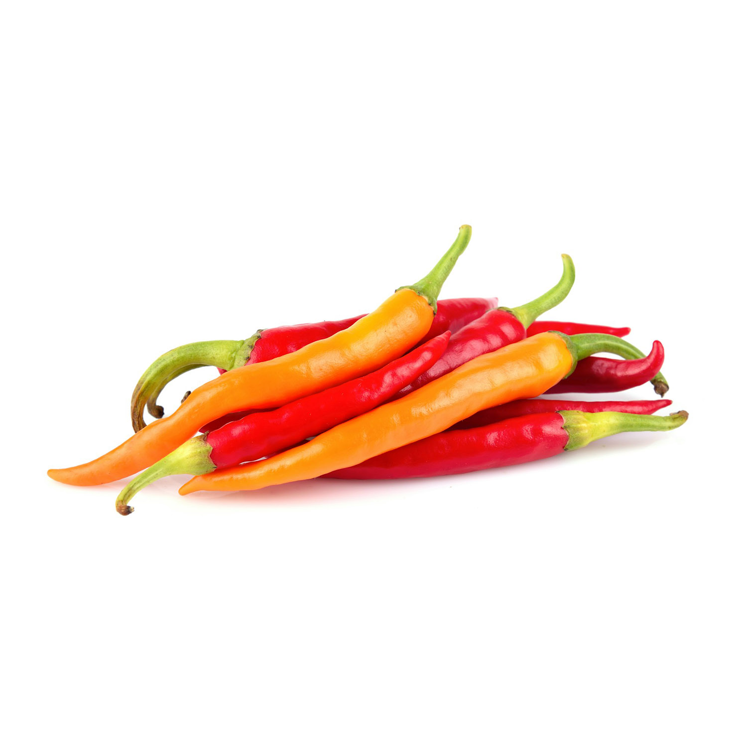 Pimiento Chili 1